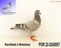 POR 22-2242057